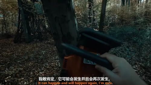 树在低语