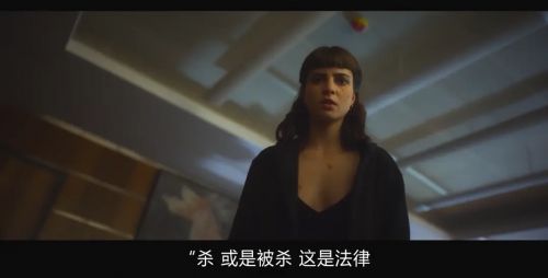 以复仇为名