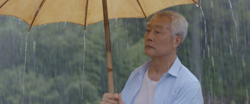 夏至廊桥