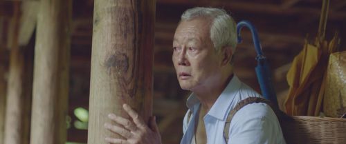 夏至廊桥