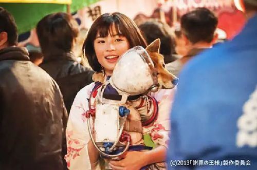道歉大师