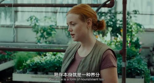 维纳斯效应