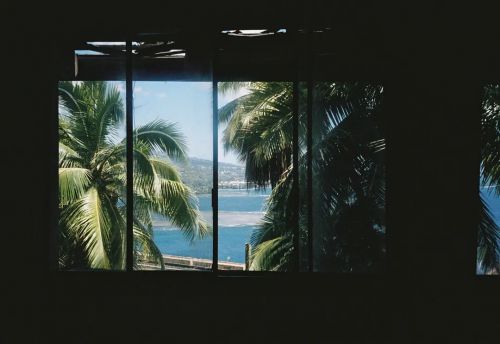 岛屿上的煎熬