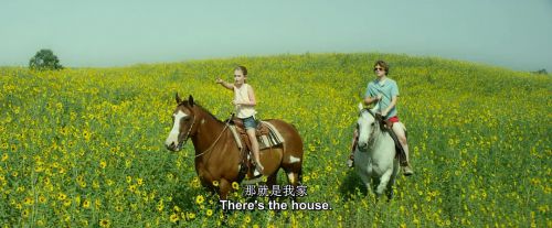 往事如河