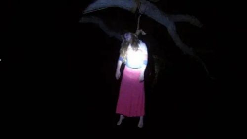 贝尔女巫萦绕