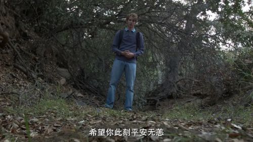 贝尔女巫萦绕