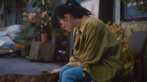 高山上的热气球 高山上的熱氣球