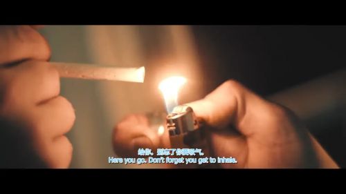 尘中之物