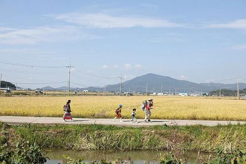 高速公路家族