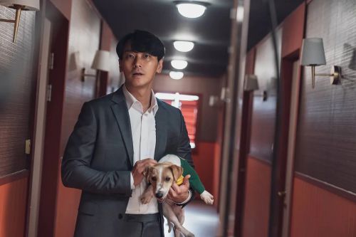 绅士
