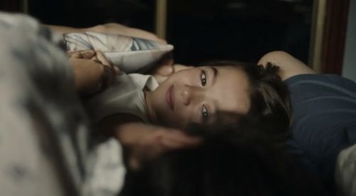 两万种蜜蜂