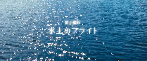 水上飞行 水上のフライト