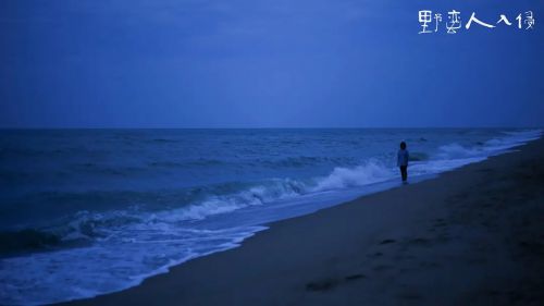野蛮人入侵
