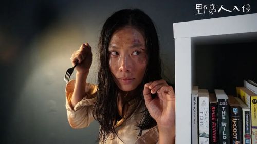 野蛮人入侵