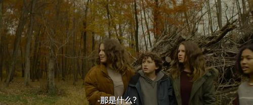 掌脸