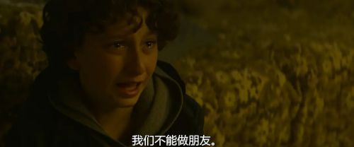 掌脸