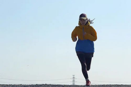 慢跑的候鸟