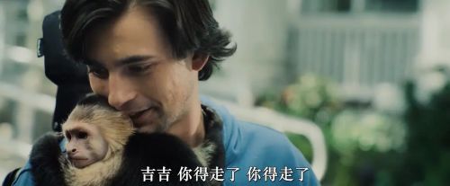 吉吉和内特