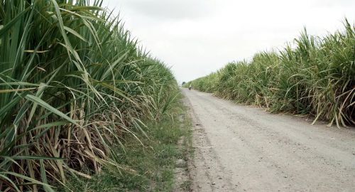 大地与阴影