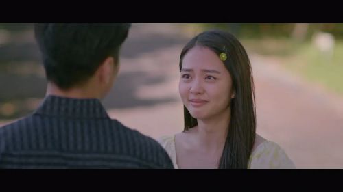 你好！梅芳草