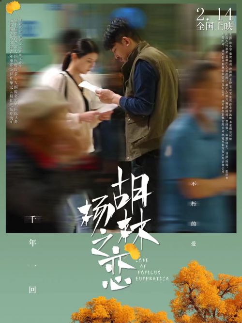 胡杨林之恋