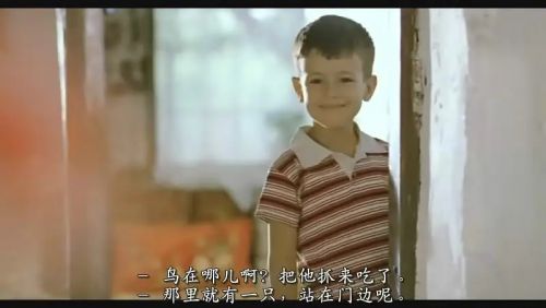 我的父亲，我的儿子