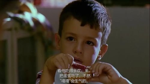 我的父亲，我的儿子