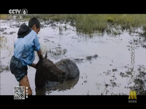 成吉思汗的孩子们
