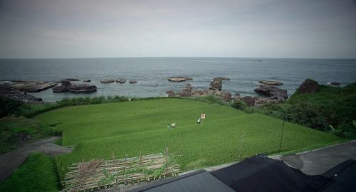 太阳的孩子