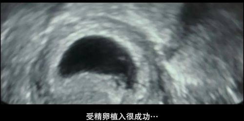 我们曾经想要的