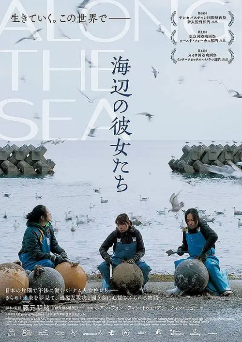 海边的女人 