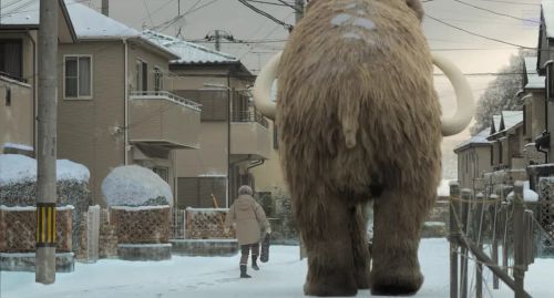 我啊，走自己的路