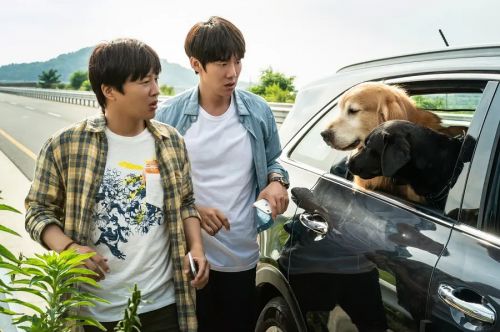 小狗小心肝