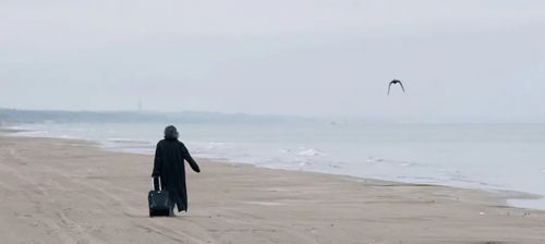 海边的李尔