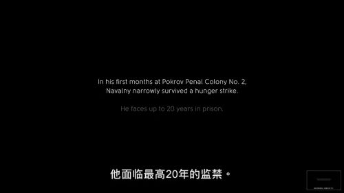纳瓦尔尼