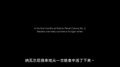 纳瓦尔尼