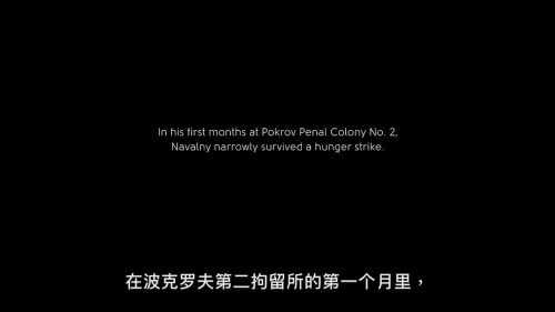 纳瓦尔尼