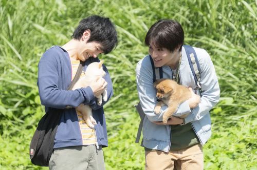 犬部！