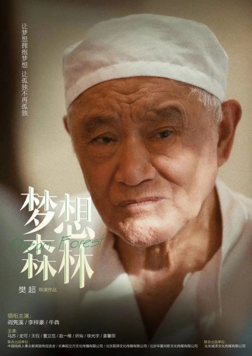 梦想森林