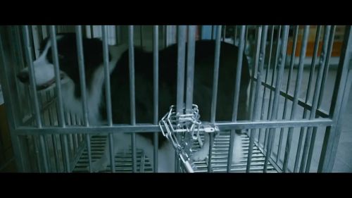 该死的阿修罗