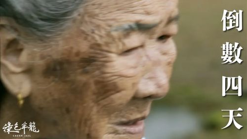 绿色牢笼