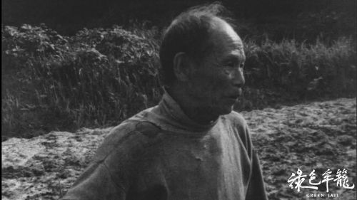 绿色牢笼