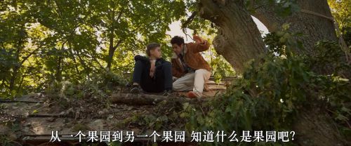 玩具当家