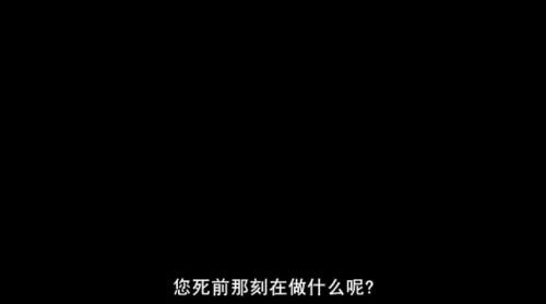 刺猬的优雅