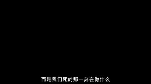 刺猬的优雅