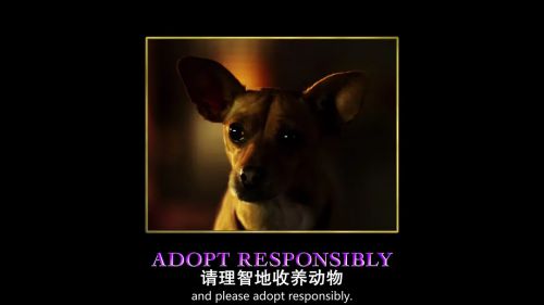 比佛利拜金狗2
