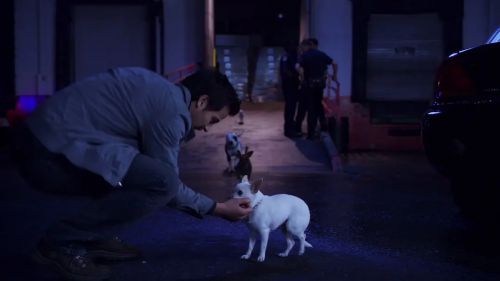 比佛利拜金狗2