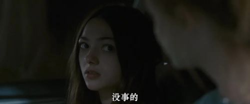 棕榈树与输电线