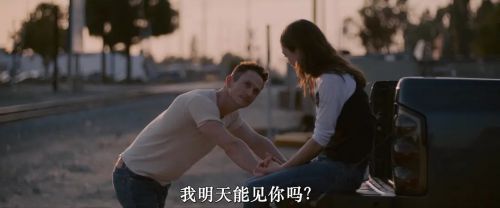 棕榈树与输电线
