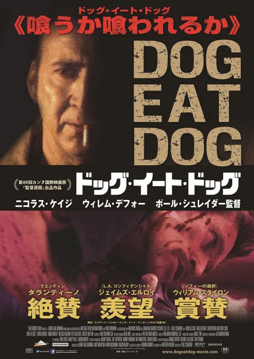 狗咬狗